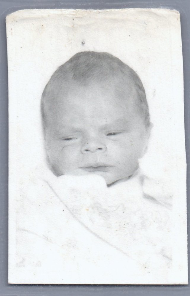 Michael Gentile